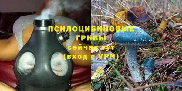 ALPHA PVP Белокуриха