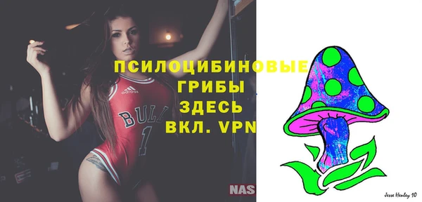 Альфа ПВП Беломорск