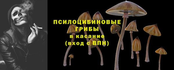 ALPHA PVP Белокуриха