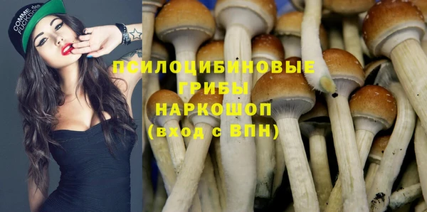 Альфа ПВП Беломорск